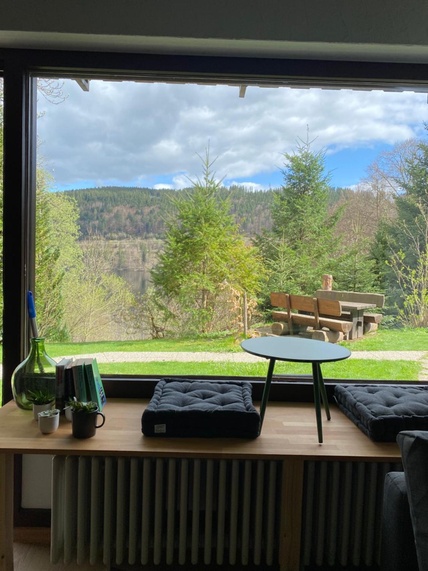 Black Forest Apartments Titisee Exteriör bild